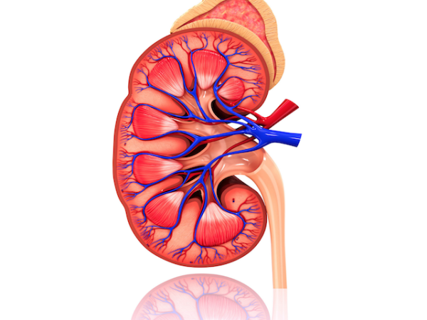 Glomerulonephritis