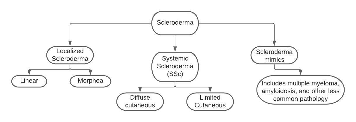Scleroderma – Home