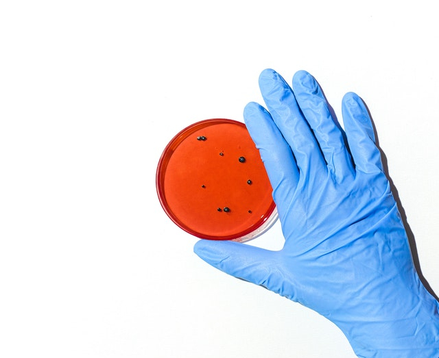 Beta-Lactam Resistance