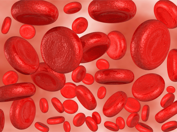 Blood Transfusion Reactions