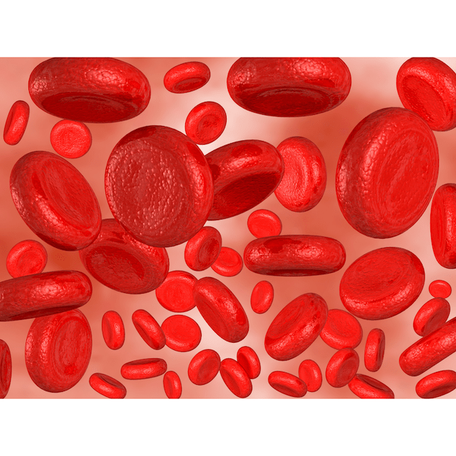 Blood Transfusion Reactions