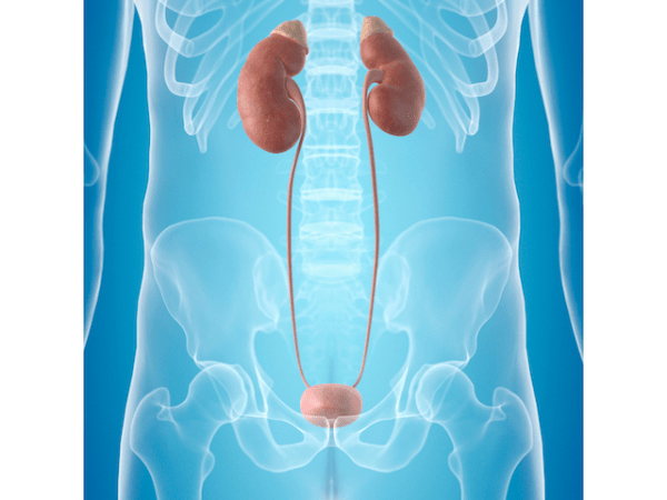 Chronic Kidney Disease