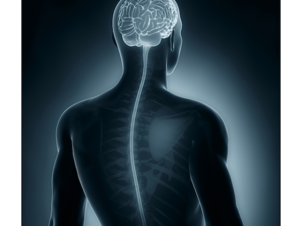 Lumbar Puncture Interpretation