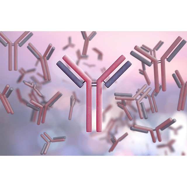 Plasma Cell Dyscrasias